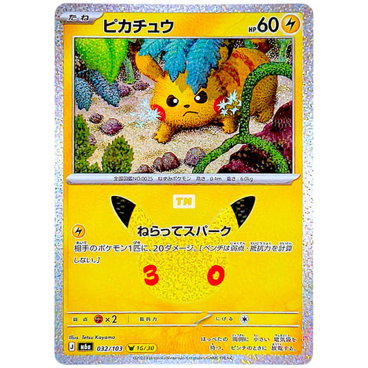 Pokemon Pikachu 032 M6a 30th Celebration JP [Random Raw Card]